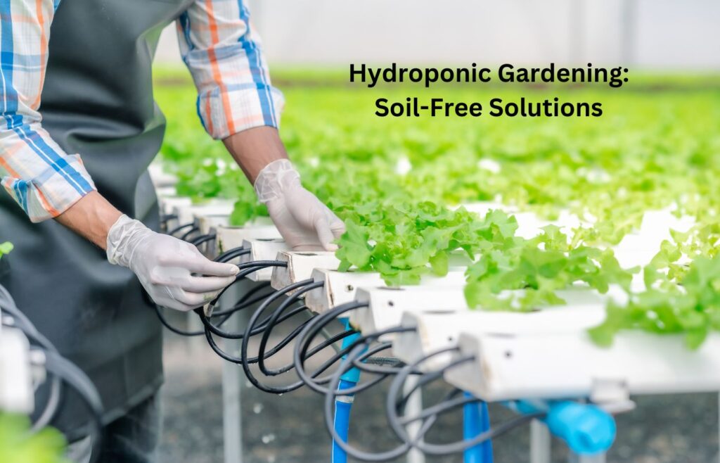 Hydroponic Gardening Soil-Free Solutions - Ideas for Small Space Gardening