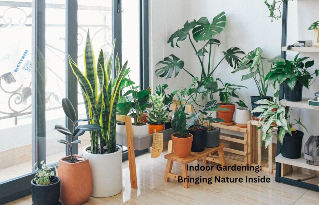 Indoor Gardening Bringing Nature Inside - Ideas for Small Space Gardening