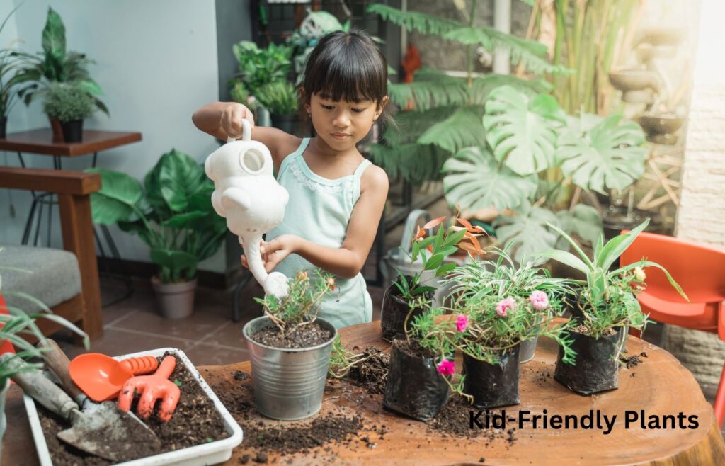 Kid-Friendly Plants - Kid-Friendly Garden