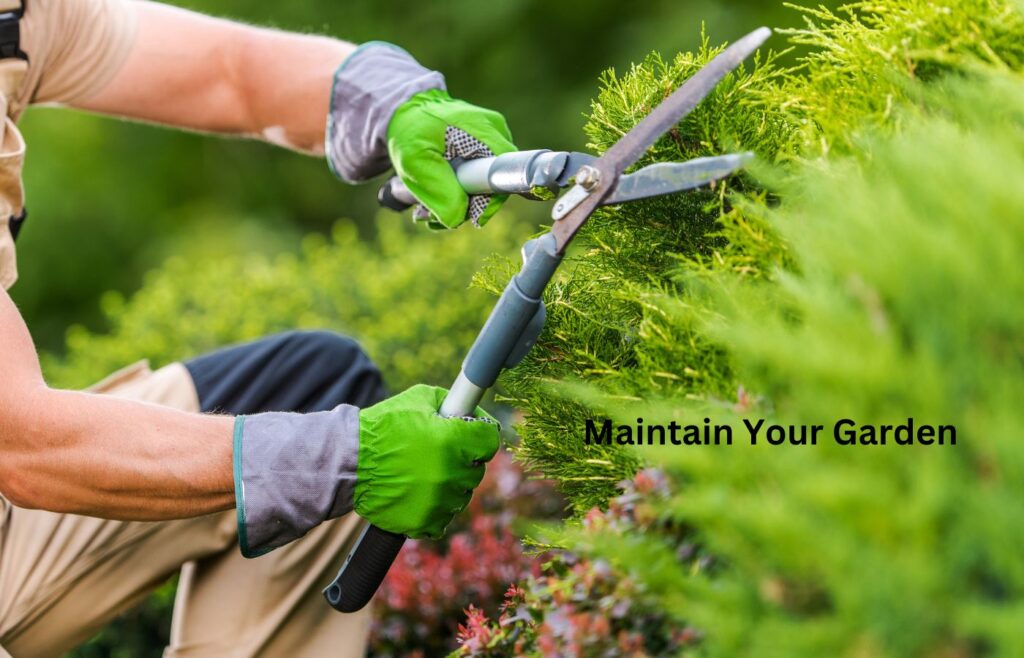 Effective Tips for Garden Landscaping - Maintain Your Garden