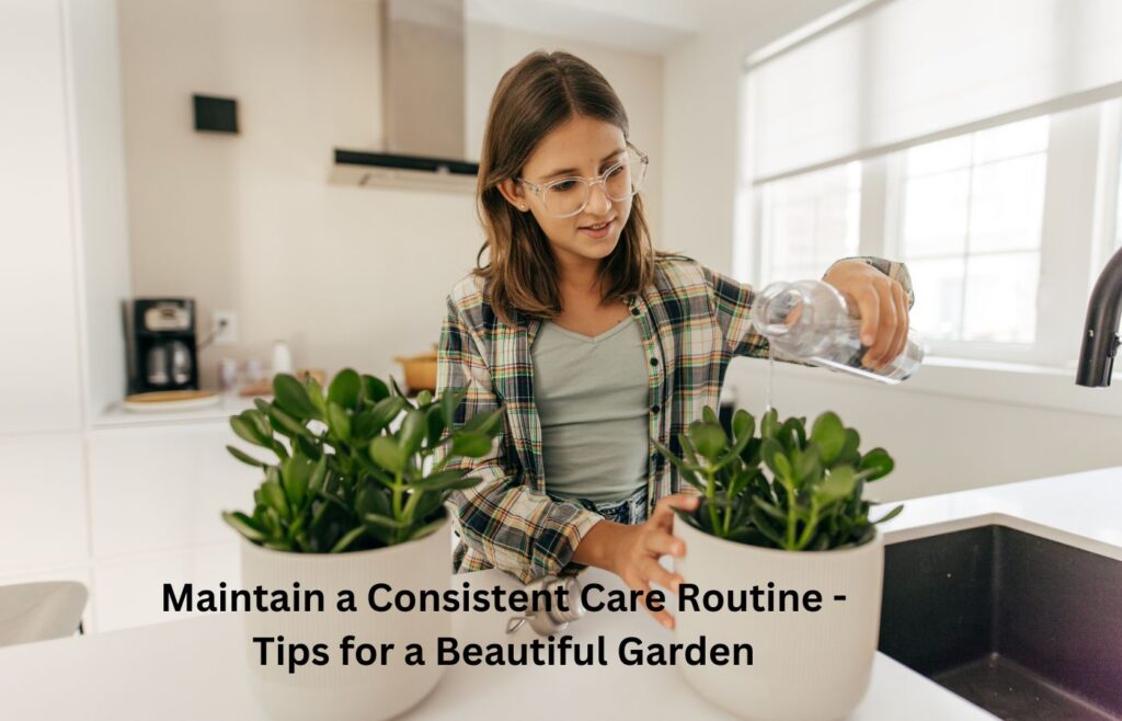 Maintain a Consistent Care Routine - Tips for a Beautiful Garden