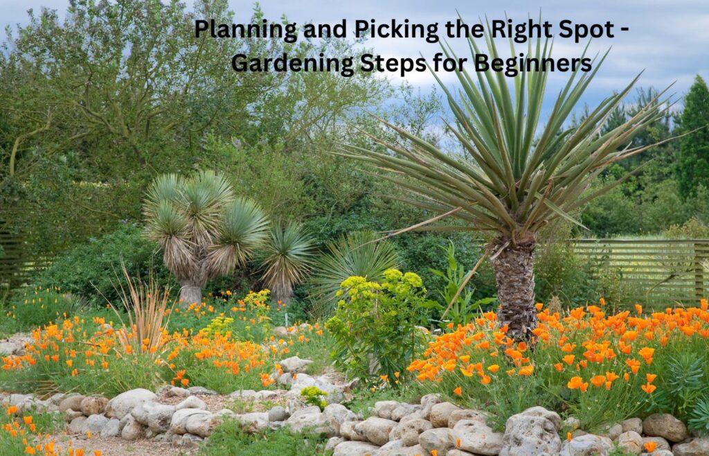 Planning and Picking the Right Spot - Gardening Steps for Beginners