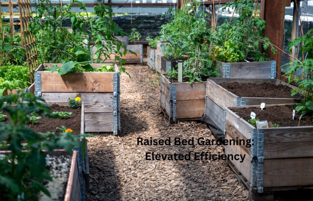 Raised Bed Gardening Elevated Efficiency- Ideas for Small Space Gardening