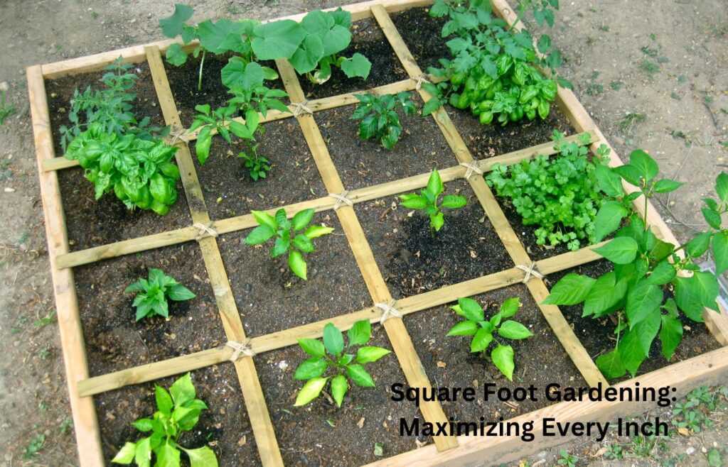 Square Foot Gardening Maximizing Every Inch - Ideas for Small Space Gardening