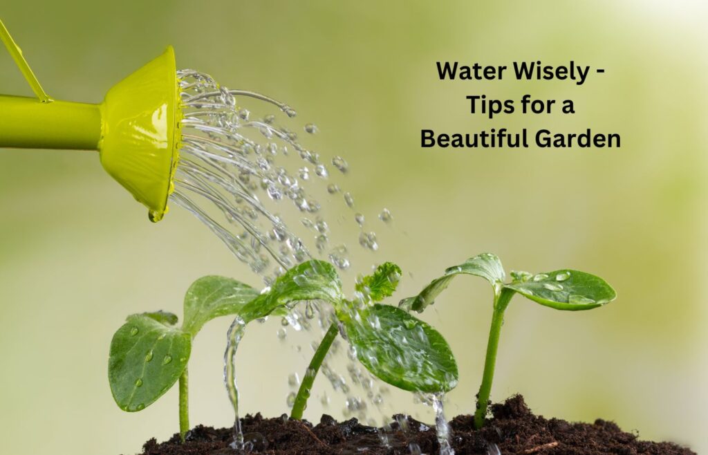 Water Wisely - Tips for a Beautiful Garden