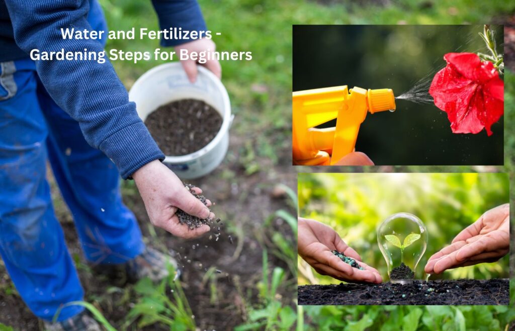 Water and Fertilizers - Gardening Steps for Beginners