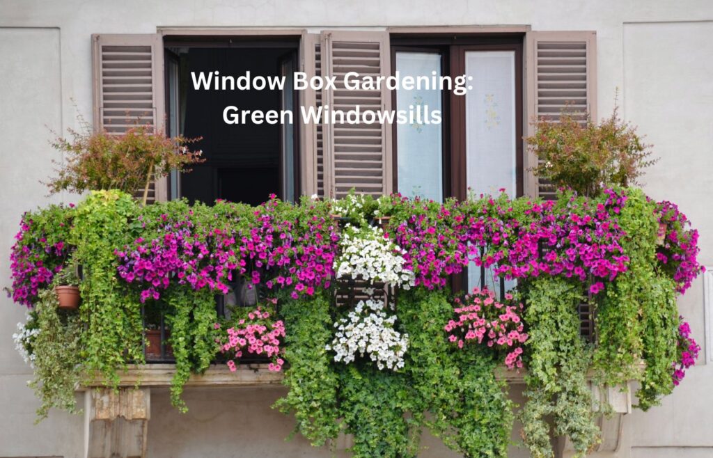 Window Box Gardening Green Windowsills - Ideas for Small Space Gardening