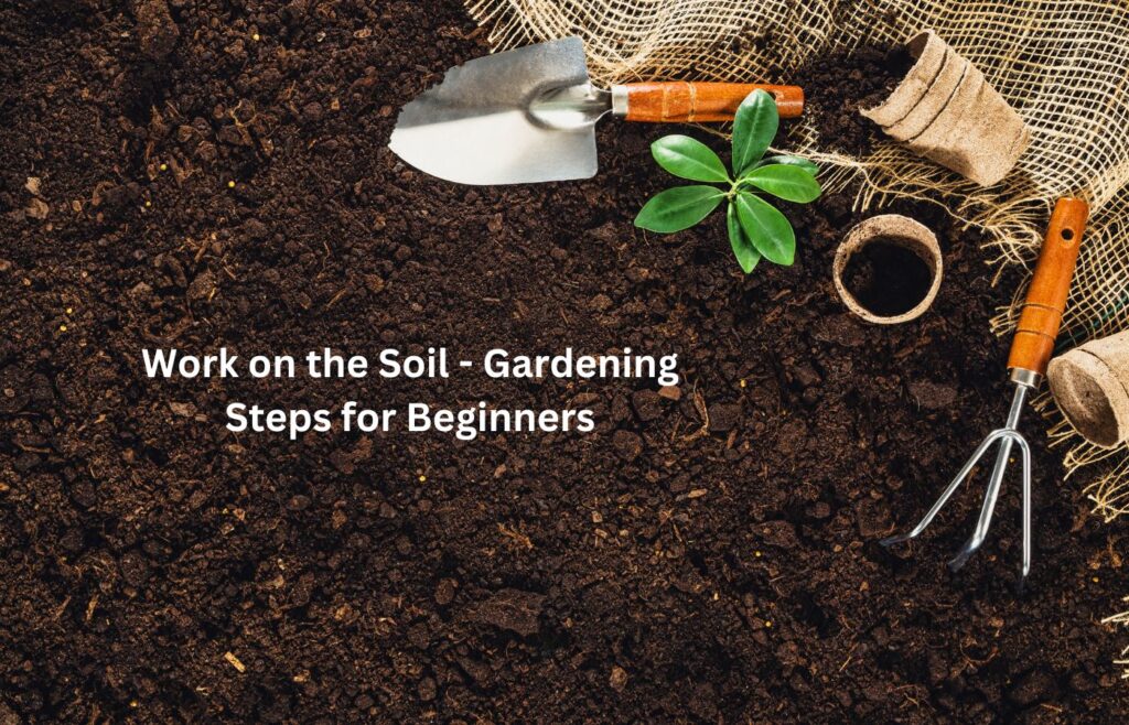 Work on the Soil - Gardening Steps for Beginners